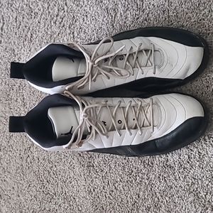 Air Jordan Retro 12 "Taxi" 2013